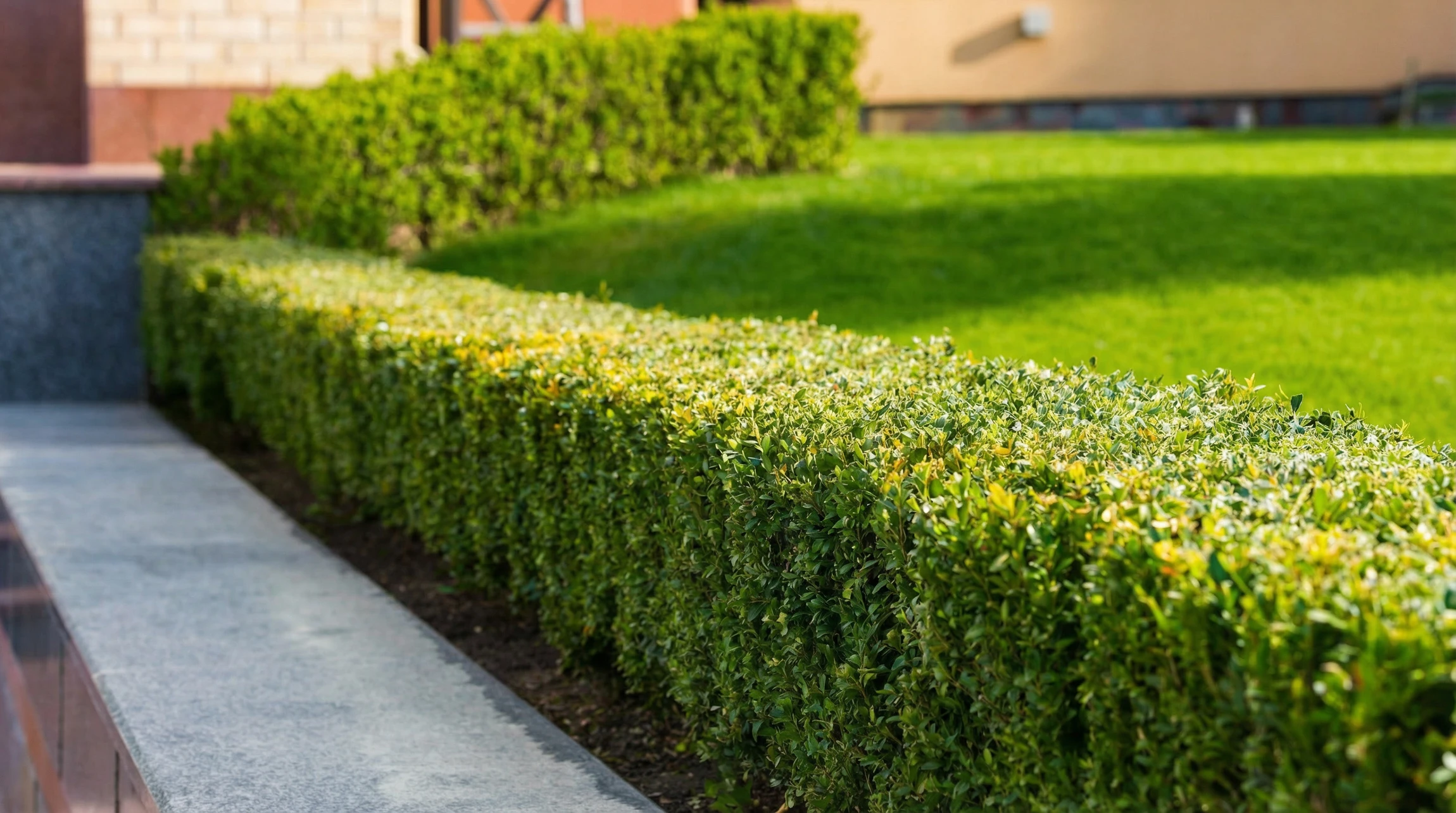 Femme d'affaires chauve en veste militaire noire à boutons dorés, posant dans un environnement extérieur verdoyant