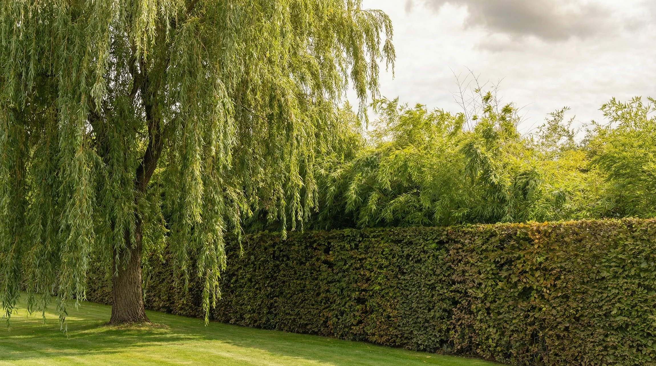 Homme âgé barbu en randonnée extérieure, portant casquette et chemise claire, sac à dos camouflage, tenant bâtons de marche