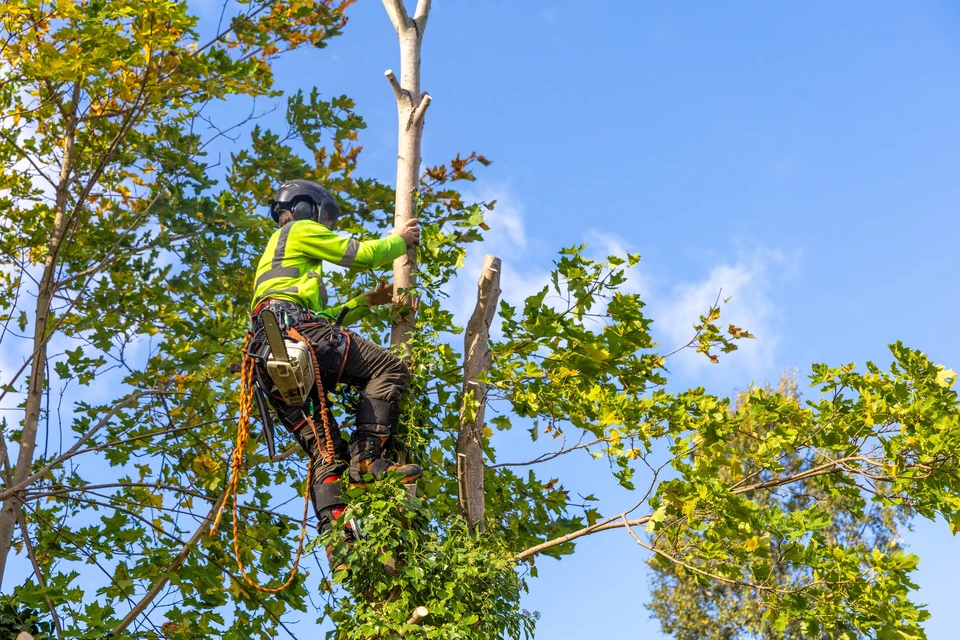 Chantier de construction avec ouvriers en équipements de protection individuelle haute visibilité