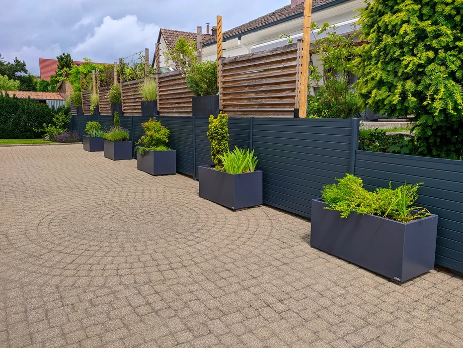 Vignoble en terrasses sur coteaux méditerranéens avec rangées de vignes alignées géométriquement