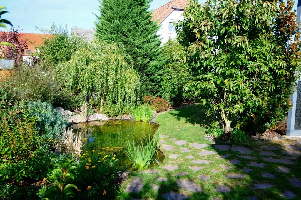 Viticulteur âgé souriant portant chapeau de paille et tablier rouge, tenant panier en osier rempli de raisins blancs frais dans vignoble ensoleillé